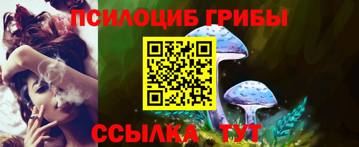 Псилоцибиновые грибы Psilocybe  Псилоцибиновые грибы MAGIC MUSHROOMS  Тихвин  Вход с VPN 