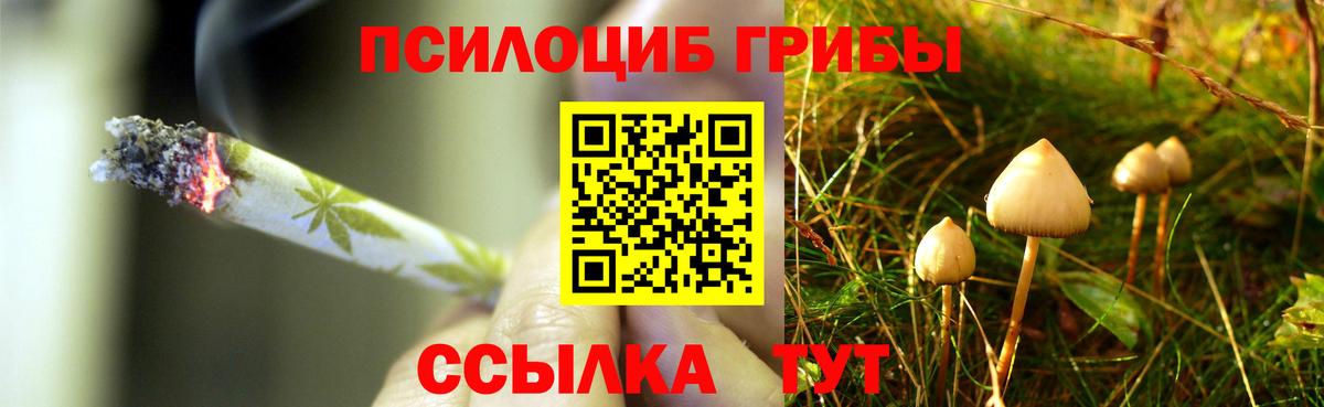 Галлюциногенные грибы ЛСД Тихвин